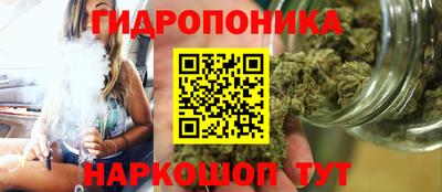 трава Лесосибирск