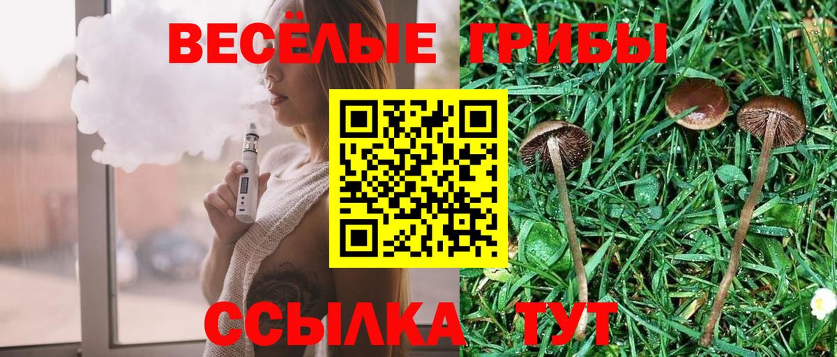 Галлюциногенные грибы MAGIC MUSHROOMS Элиста